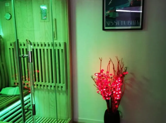 Gasthuis Privatif Sauna Jaccuzi Nice